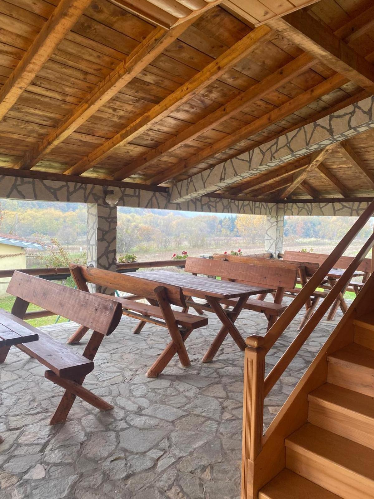 ديسبوتوفاتس Forest Camp المظهر الخارجي الصورة