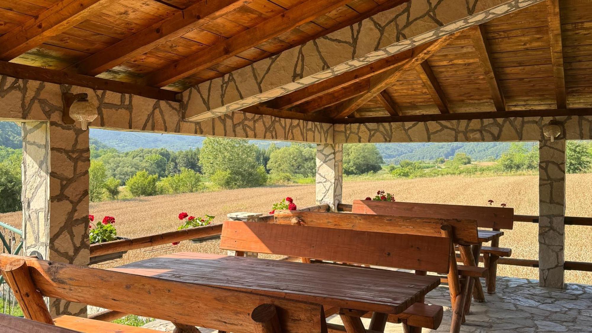 ديسبوتوفاتس Forest Camp المظهر الخارجي الصورة